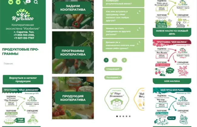 Разработка инфографики